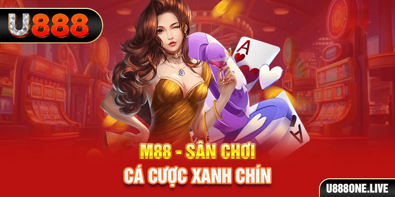 vin7772 gà chọi cậu thanh