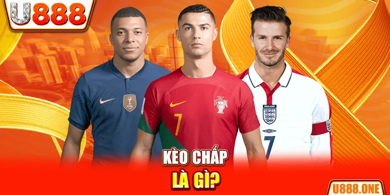 vin7772 chổi lông gà