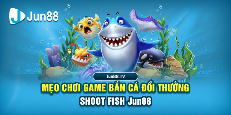 vin7772 tai game danh bai bigkool ve may tinh