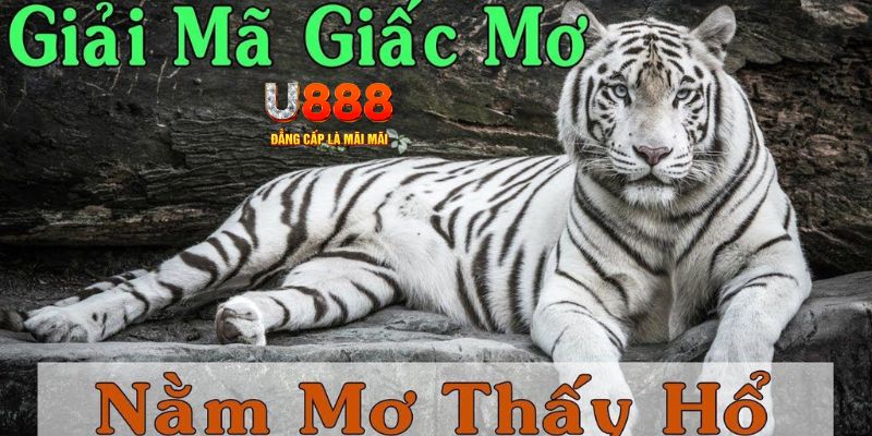vin7772 xổ số kiến thiết miền bắc
