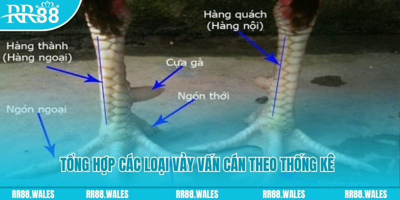 vin7772 nổ hũ chơi như thế nào