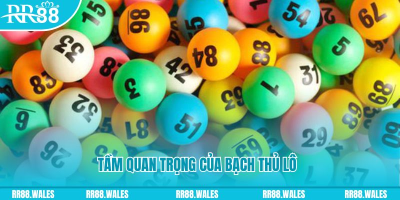 vin7772 đá gà trực tiếp casino