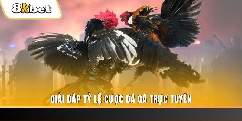 vin7772 xổ số ba đài