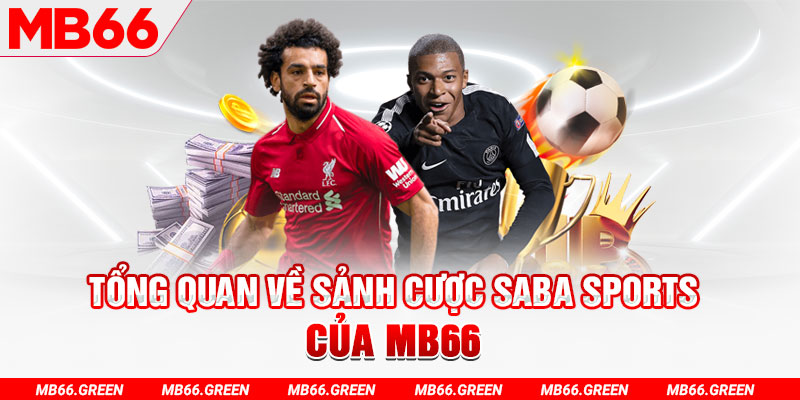 vin7772 slot có nghĩa là gì