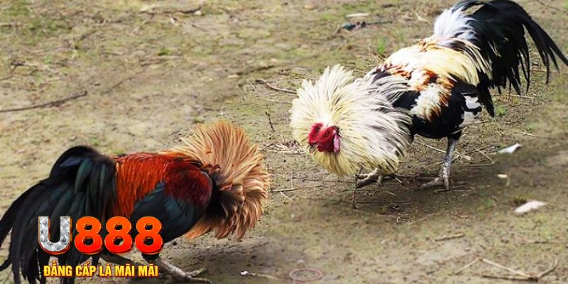 vin7772 game nổ hũ là gì