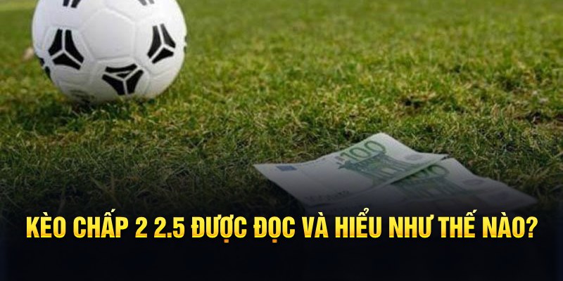 vin7772 đá gà thomo
